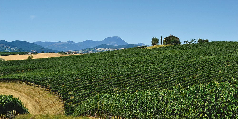 Tenuta di Tavignano