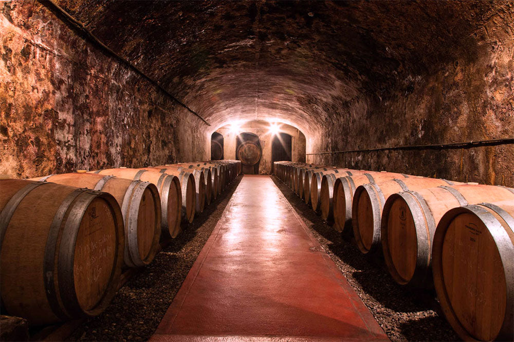 Tenuta Ghizzano