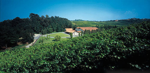 Tenuta Il Bosco