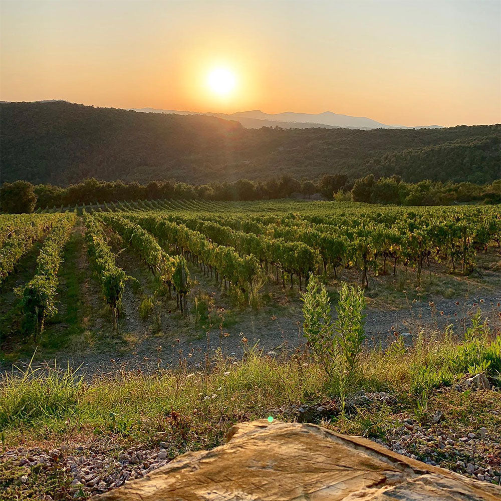 Tenuta L'Impostino
