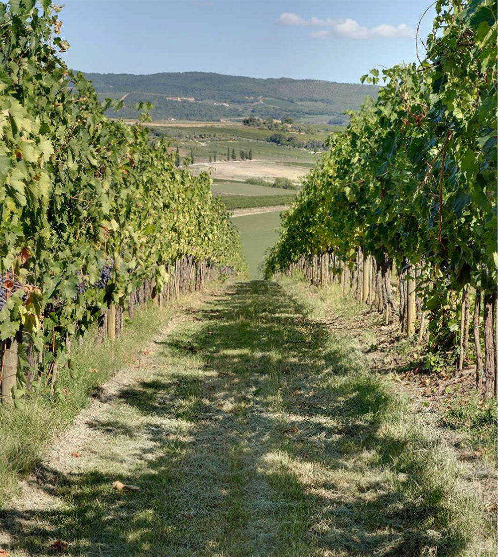 Tenuta La Fuga (Folonari)