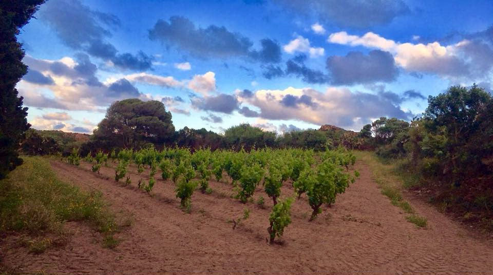 Tenuta La Sabbiosa - Biomar