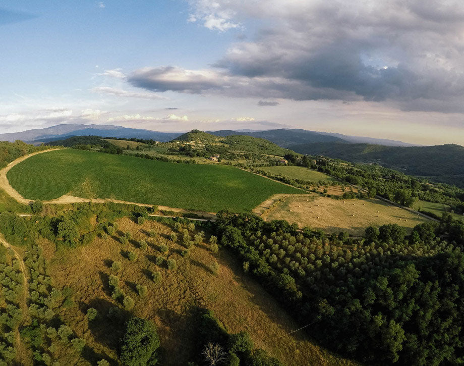 Tenuta Monteloro (Antinori)