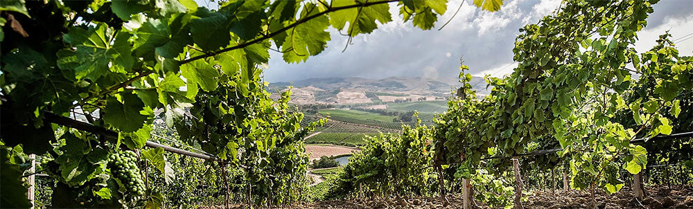 Tenuta Regaleali (Tasca d'Almerita)