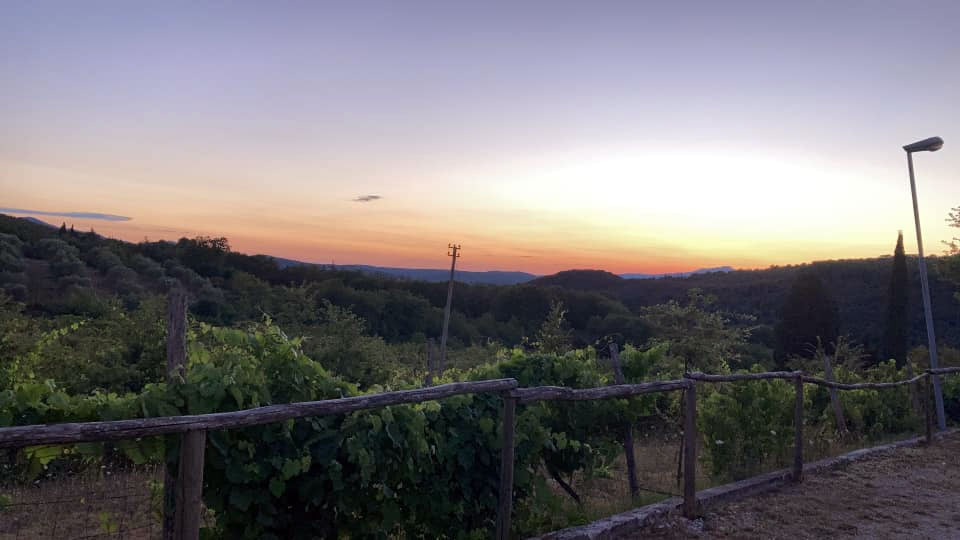 Tenuta Ribusieri