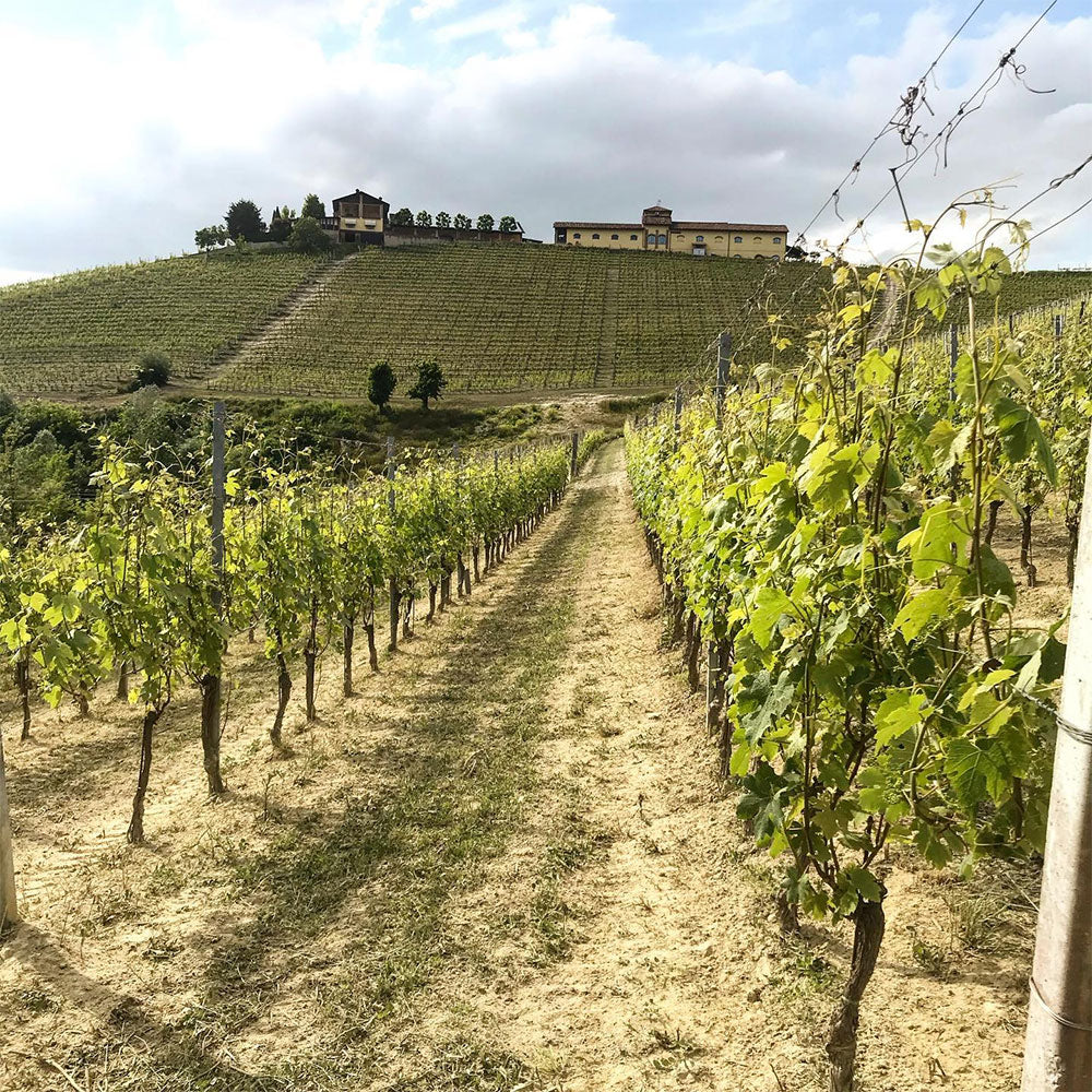 Tenuta Rocca
