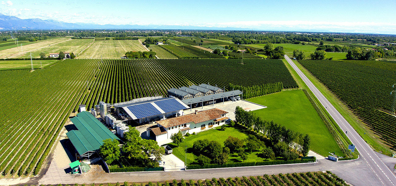 Tenuta San Giorgio