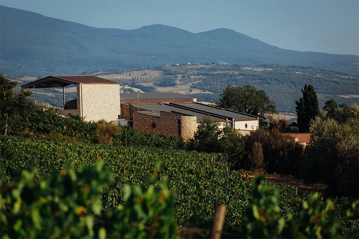 Tenuta San Giorgio
