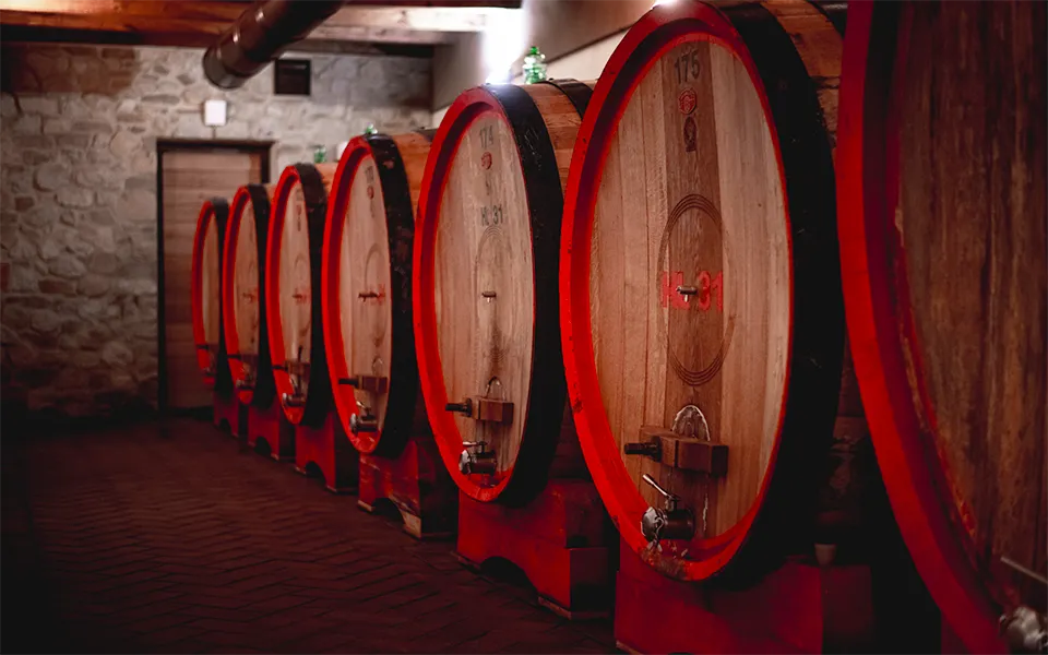 Tenuta San Giorgio