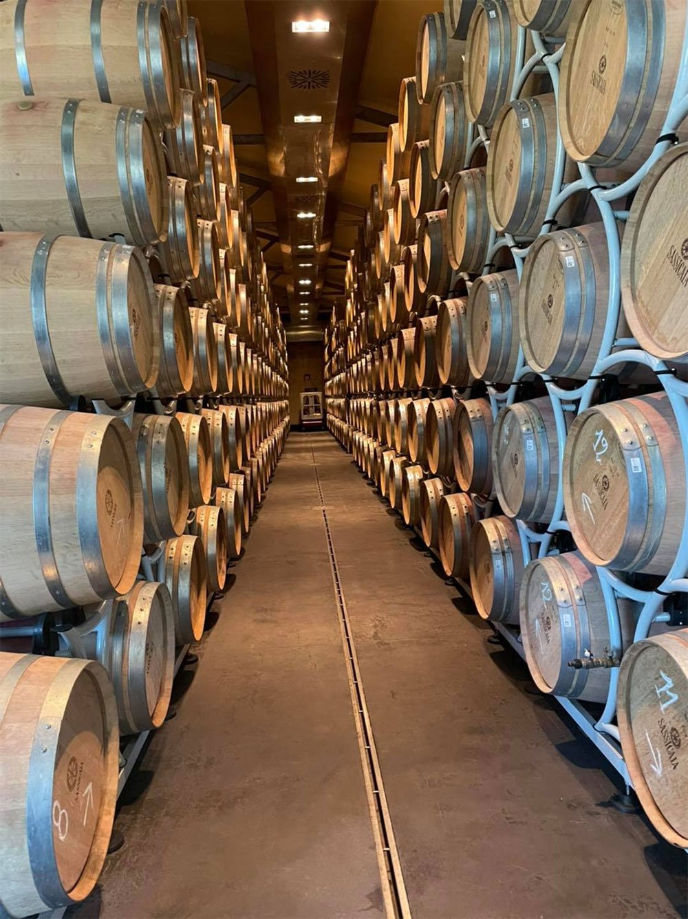 Tenuta San Guido