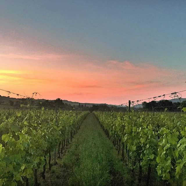 Tenuta Santa Lucia