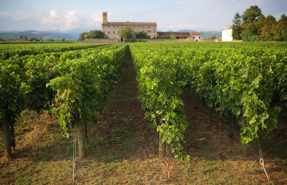 Tenuta Santa Maria