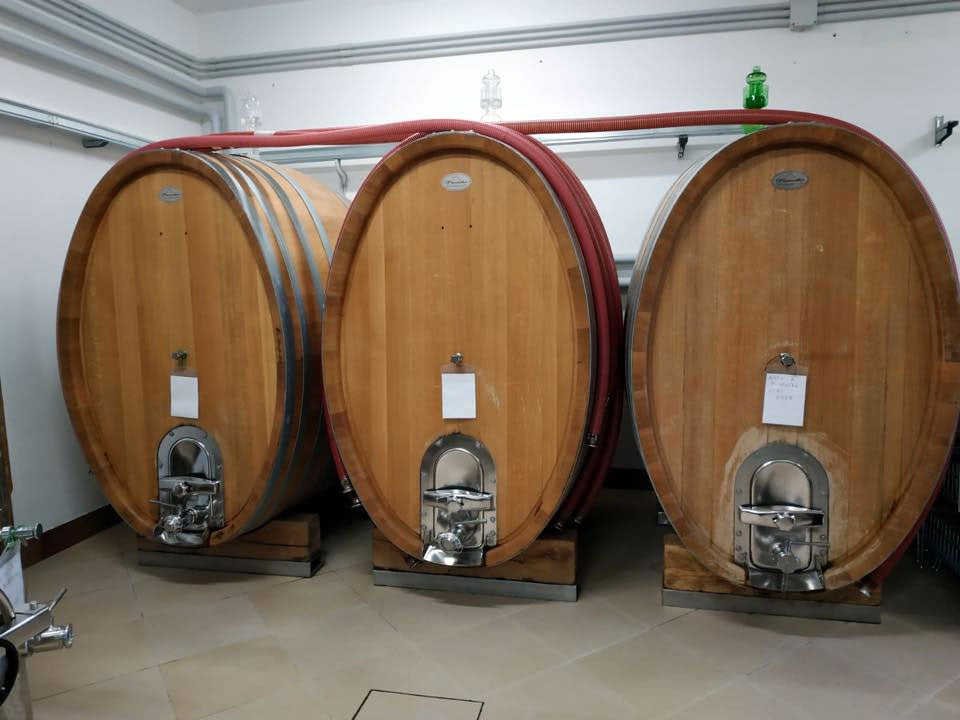 Tenuta Scuotto