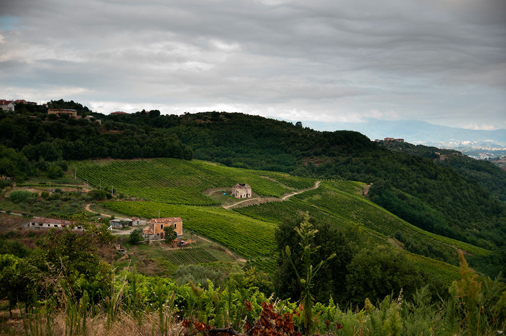 Tenute Paese
