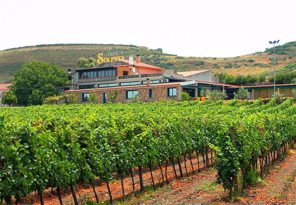 Tenute Soletta