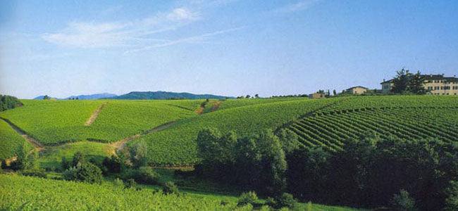 Terralba