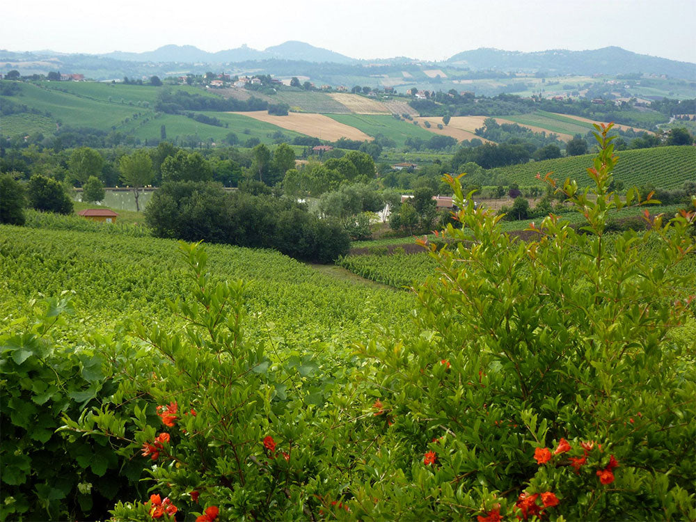 Terre di Fiume