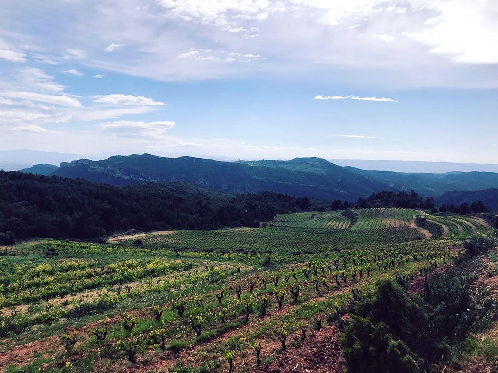Terroir al Límit Soc. Lda