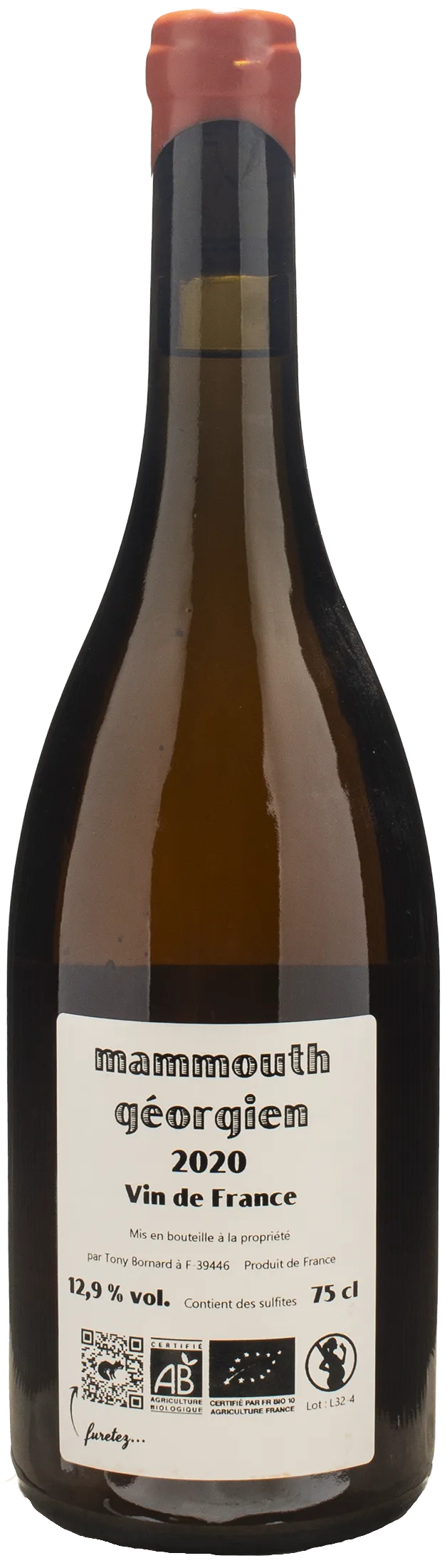 Tony Bornard Mammouth Georgien 2020