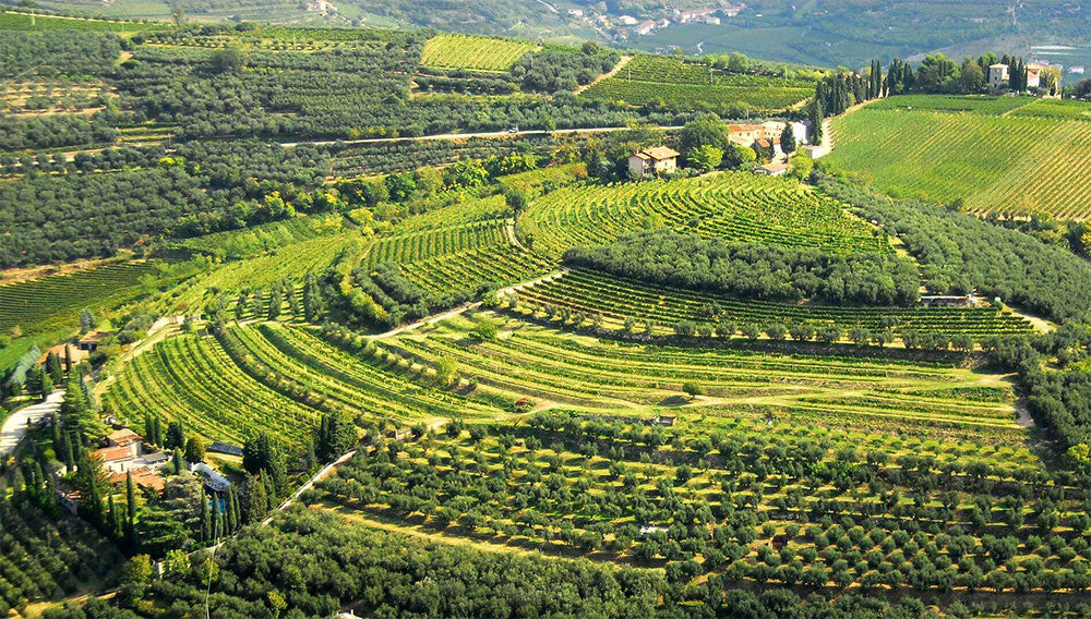 Trabucchi d'Illasi