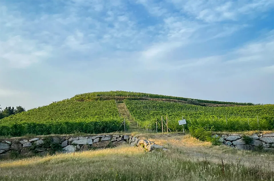 Travaglini