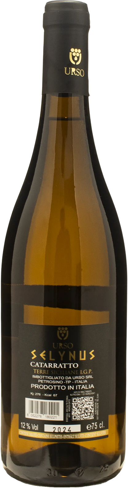 Urso Selynus Cataratto 2024