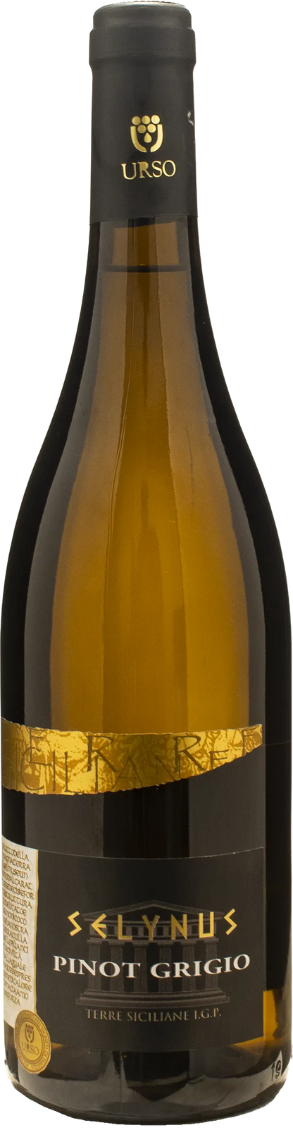 Urso Selynus Pinot Grigio 2025
