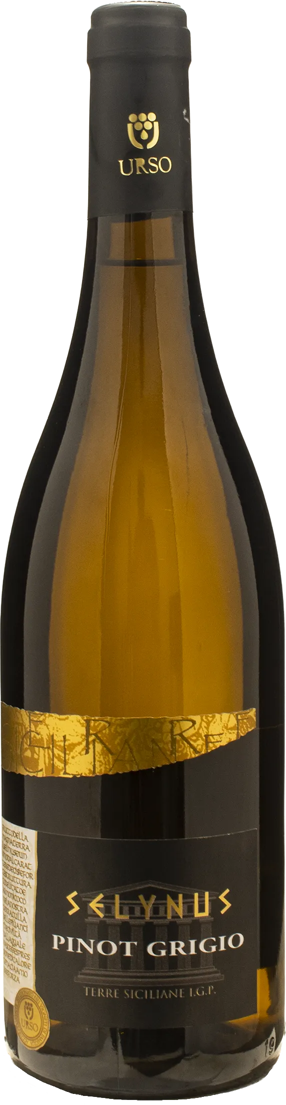 Urso Selynus Pinot Grigio 2025