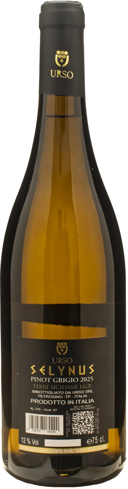 Urso Selynus Pinot Grigio 2025
