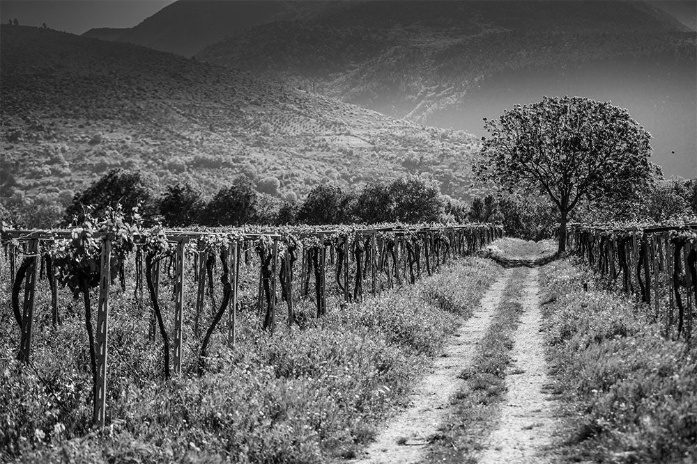 Valle Reale