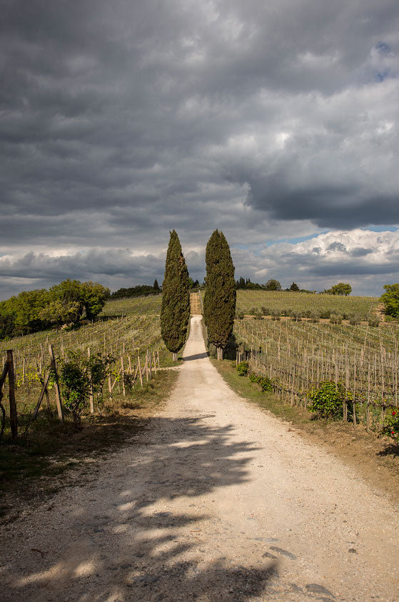 Vecchie Terre di Montefili