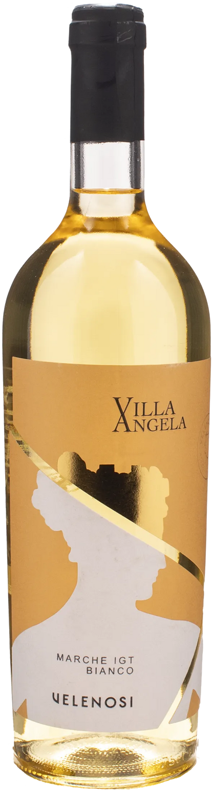 Velenosi Villa Angela Marche Garofanata 2024