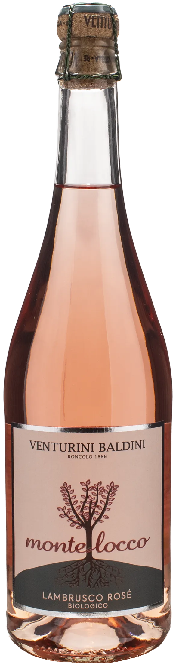 Venturini Baldini Lambrusco Montelocco Rosè