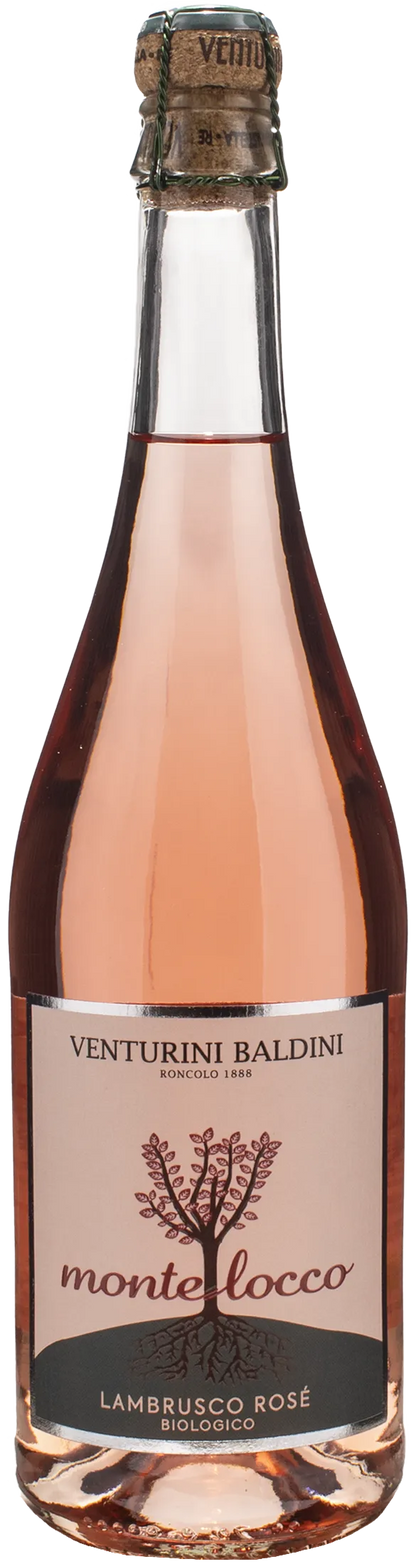 Venturini Baldini Lambrusco Montelocco Rosè