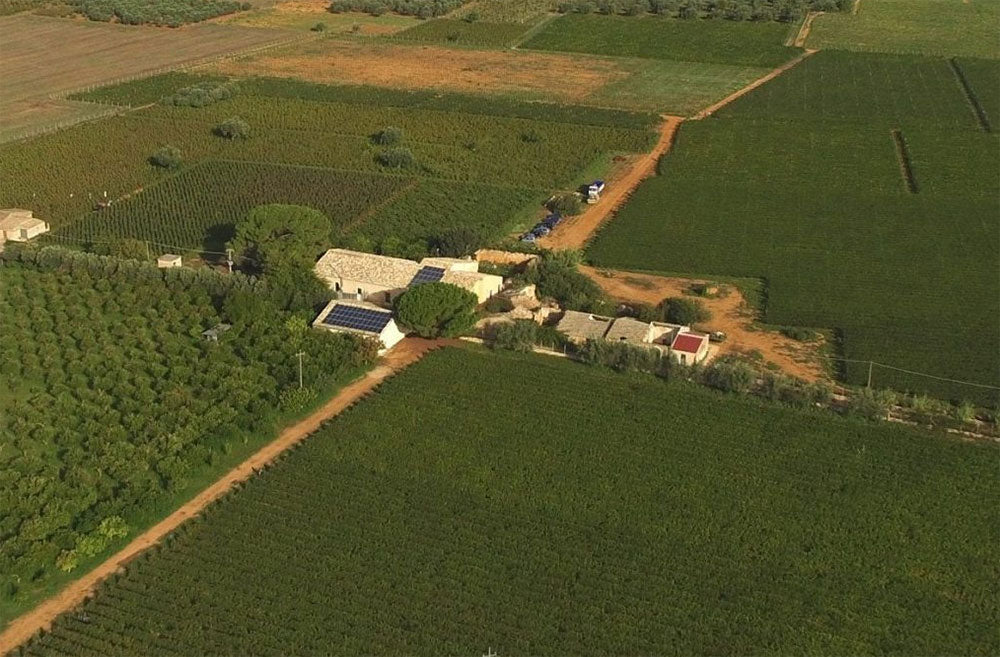 Vigna di Pettineo