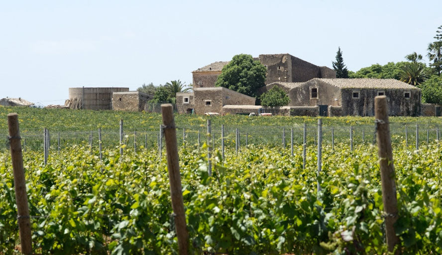 Vigna di Pettineo