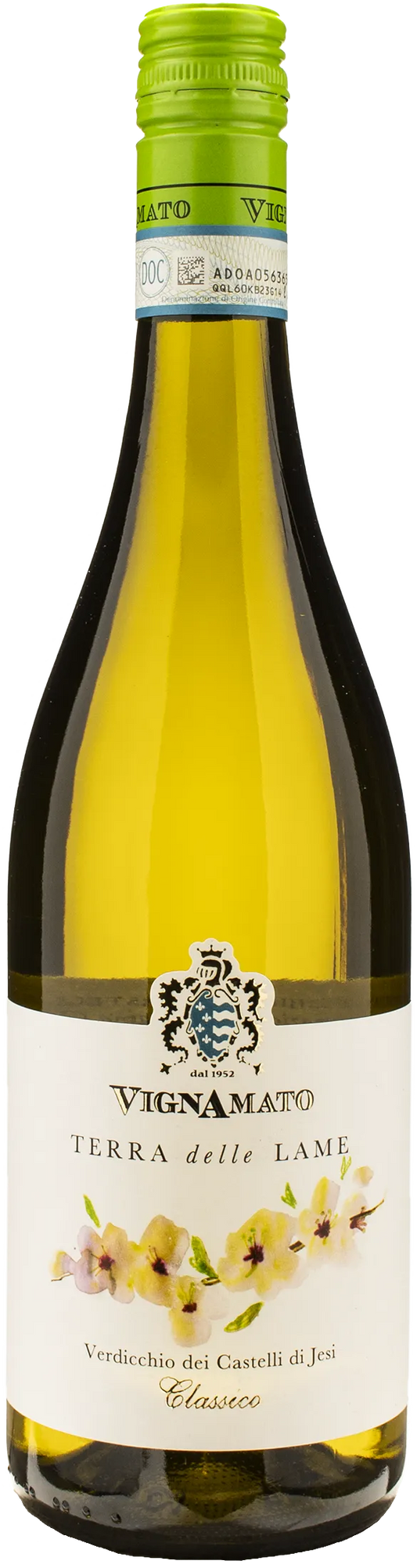 Vignamato Verdicchio dei Castelli di Jesi Terra delle Lame Classico 2024