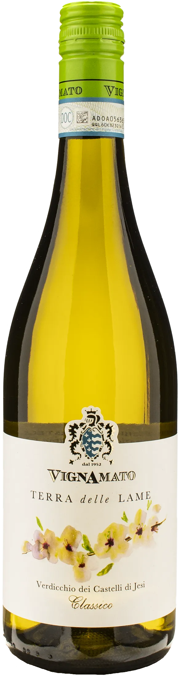 Vignamato Verdicchio dei Castelli di Jesi Terra delle Lame Classico 2024