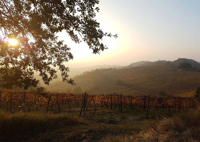 Vigneti Repetto