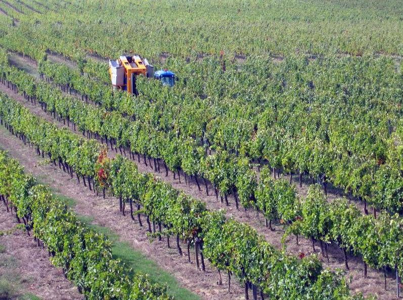 Vignobles Chaigne et Fils