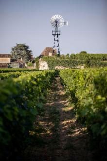 Vignobles Vauthier Maziere