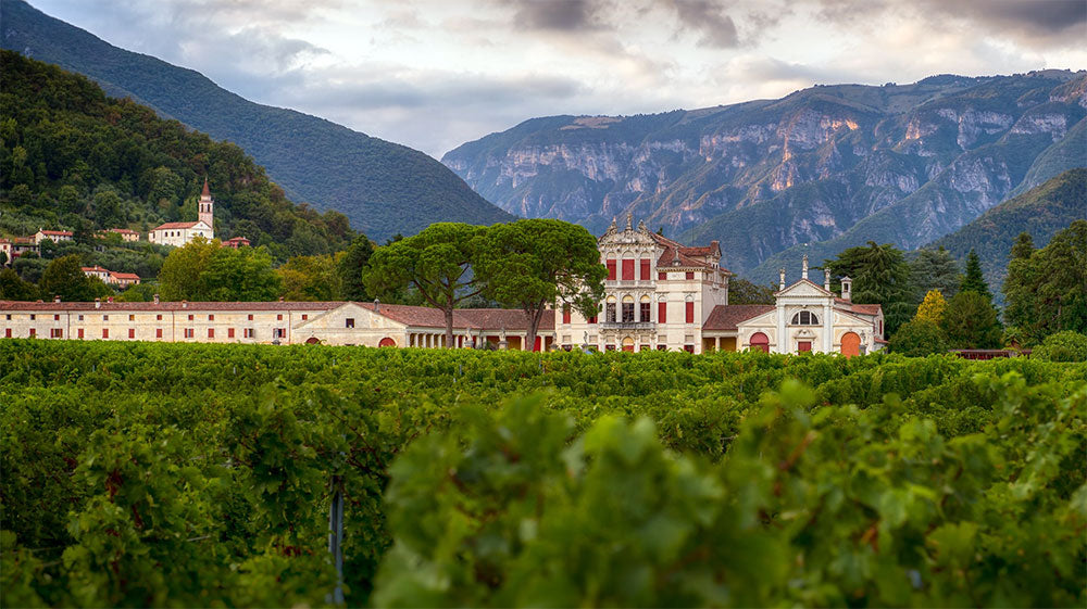 Villa Angarano