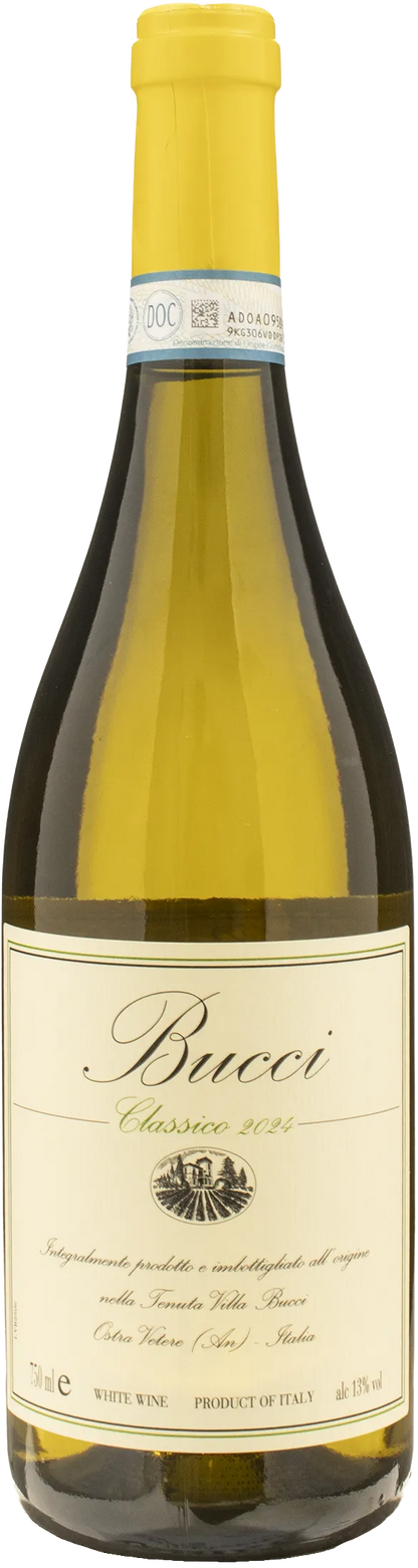 Villa Bucci Verdicchio dei Castelli di Jesi Classico Superiore 2024