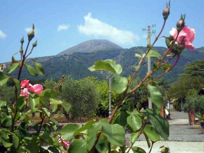 Villa Dora