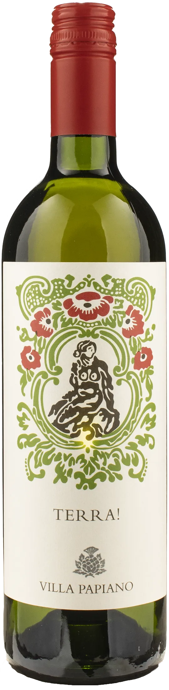 Villa Papiano Terra! 2024