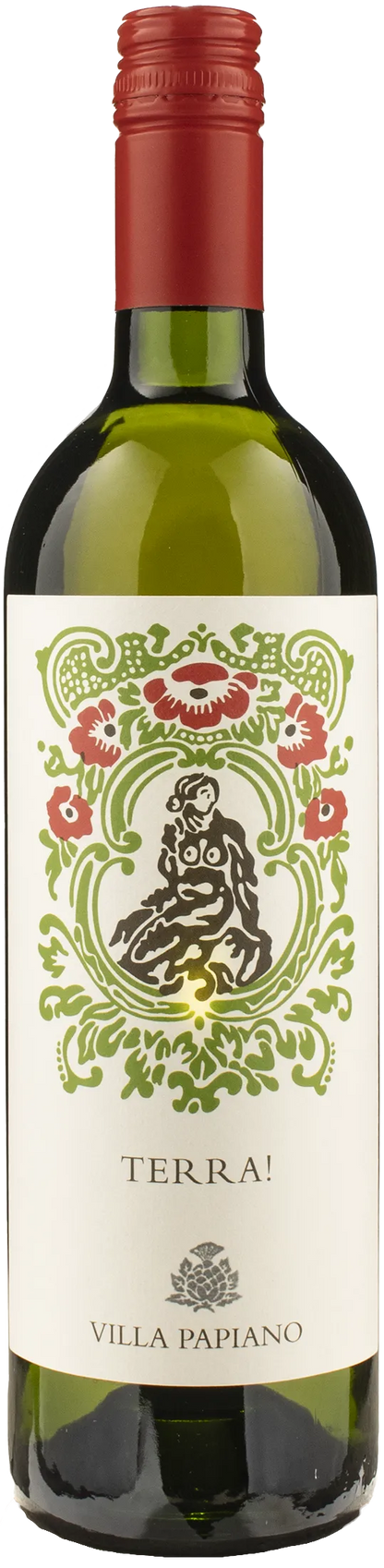 Villa Papiano Terra! 2024