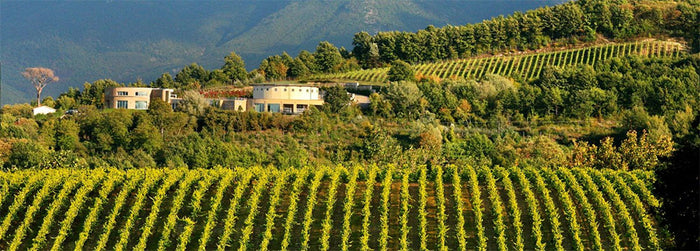Villa Raiano