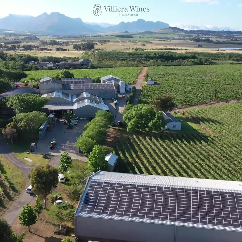 Villiera Wine (Stellenbosch)