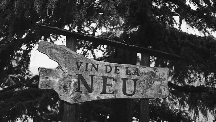 Vin De la Neu - Nicola Biasi