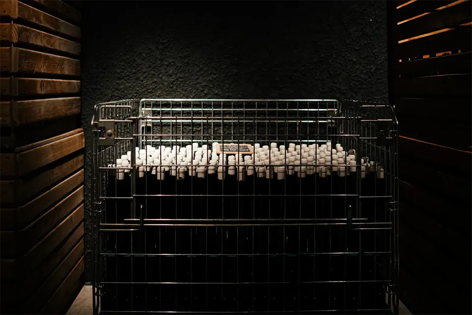 Vin De la Neu - Nicola Biasi